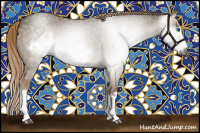 Horse Color:Gray Red Dun Frame