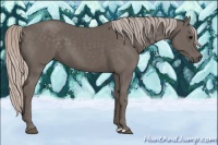 Horse Color:Silver Black 