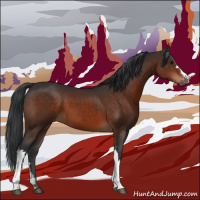 Horse Color:Brown 