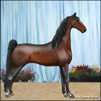 Horse Color:Brown 