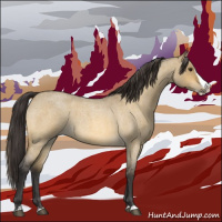 Horse Color:Buckskin Roan Dun Splash 
