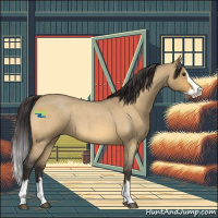 Horse Color:Buckskin Roan Dun Splash 