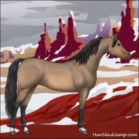 Horse Color:Bay Roan Dun 