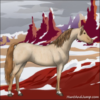 Horse Color:Red Dun Roan 