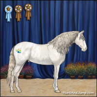 Horse Color:Smoky Creme Roan Dun Appaloosa 