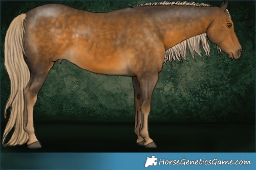 Horse Color:Chocolate Palomino Mushroom 