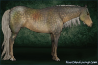 Horse Color:Chocolate Palomino Mushroom 
