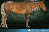 Horse Color:Chocolate Palomino Mushroom 