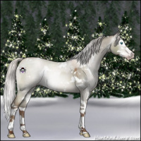 Horse Color:Gray White Spotted Silver Sable Champagne Dun Mushroom Sabino Splash 