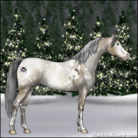 Horse Color:Gray White Spotted Sable Champagne Dun Mushroom Sabino 