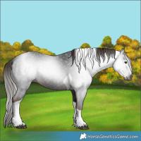 Horse Color:Gray Liver Chestnut Tobiano 