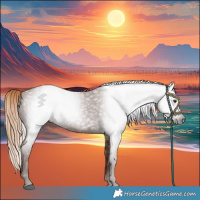 Horse Color:Gray Chestnut 