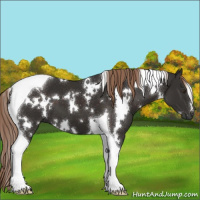 Horse Color:White Spotted Liver Chestnut Tobiano 