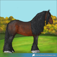 Horse Color:Brown 