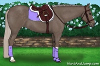 Horse Color:Silver Blue Roan 