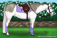 Horse Color:Silver Blue Roan Splash