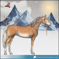 Horse Color:Gray Cremello Tobiano 