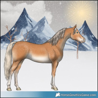 Horse Color:Gray Cremello Tobiano 