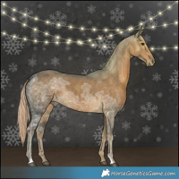 Horse Color:Chocolate Palomino Ice 