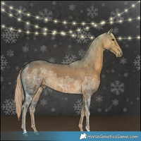 Horse Color:Chocolate Palomino Ice 