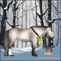 Horse Color:Gray Bay