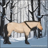 Horse Color:Bay Roan Dun 