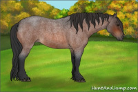 Horse Color:Bay Roan 