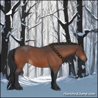 Horse Color:Brown Roan 
