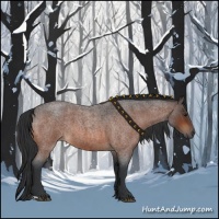 Horse Color:Bay Roan 