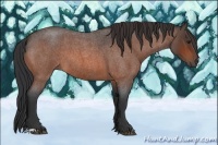 Horse Color:Bay Roan 