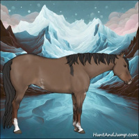 Horse Color:Liver Red Dun Sabino Rabicano 