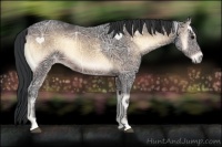 Horse Color:Brown Ice Onyx 