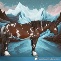 Horse Color:White Spotted Liver Chestnut 