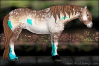 Horse Color:Red Onyx Ice 