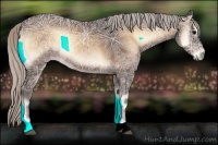 Horse Color:Silver Bay Ice Onyx 