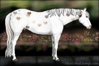 Horse Color:White Spotted Silver Brown Onyx 