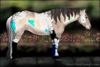 Horse Color:Bay Ice Onyx Tobiano 
