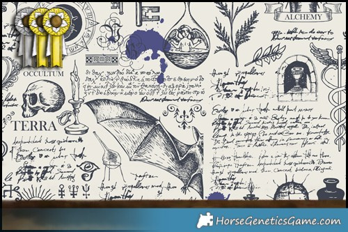 Horse Color:Black Splash Tobiano 