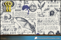 Horse Color:Black Splash Tobiano 