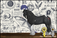 Horse Color:Black Splash Tobiano 