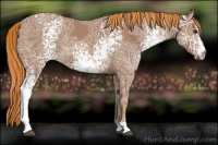 Horse Color:Painted White Spotted Chestnut Ice