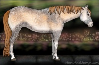 Horse Color:Liver Red Onyx Ice 