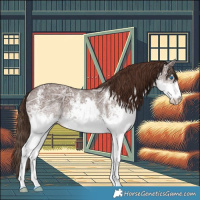 Horse Color:White Spotted Liver Chestnut Ice Splash 
