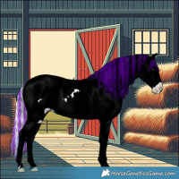 Horse Color:Painted Silver Bay Ice Appaloosa 