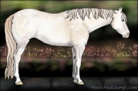 Horse Color:Palomino Ice Pearl Onyx 
