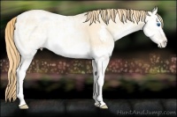Horse Color:White Spotted Gold Champagne Ice Pearl Onyx Splash