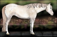 Horse Color:Chocolate Palomino Ice Pearl Onyx 