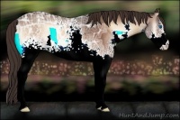Horse Color:White Spotted Bay Ice Roan Onyx Splash Appaloosa 