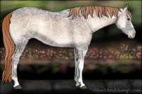 Horse Color:Liver Red Onyx Ice 
