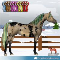 Horse Color:Void Painted White Spotted Buckskin Dun Mushroom Tobiano 